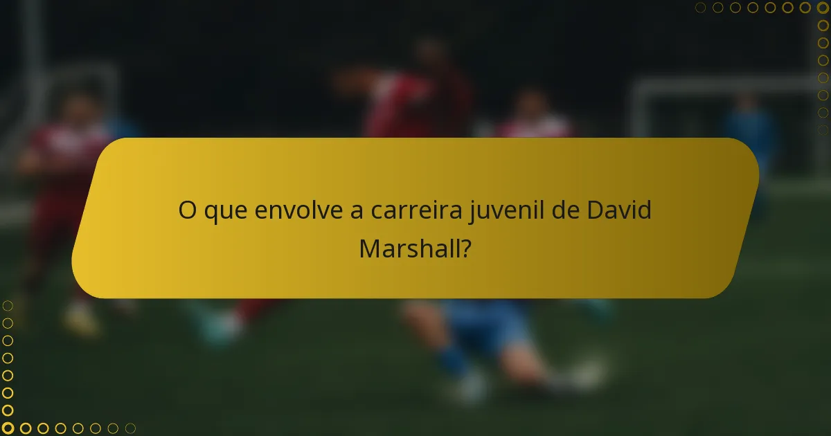 O que envolve a carreira juvenil de David Marshall?