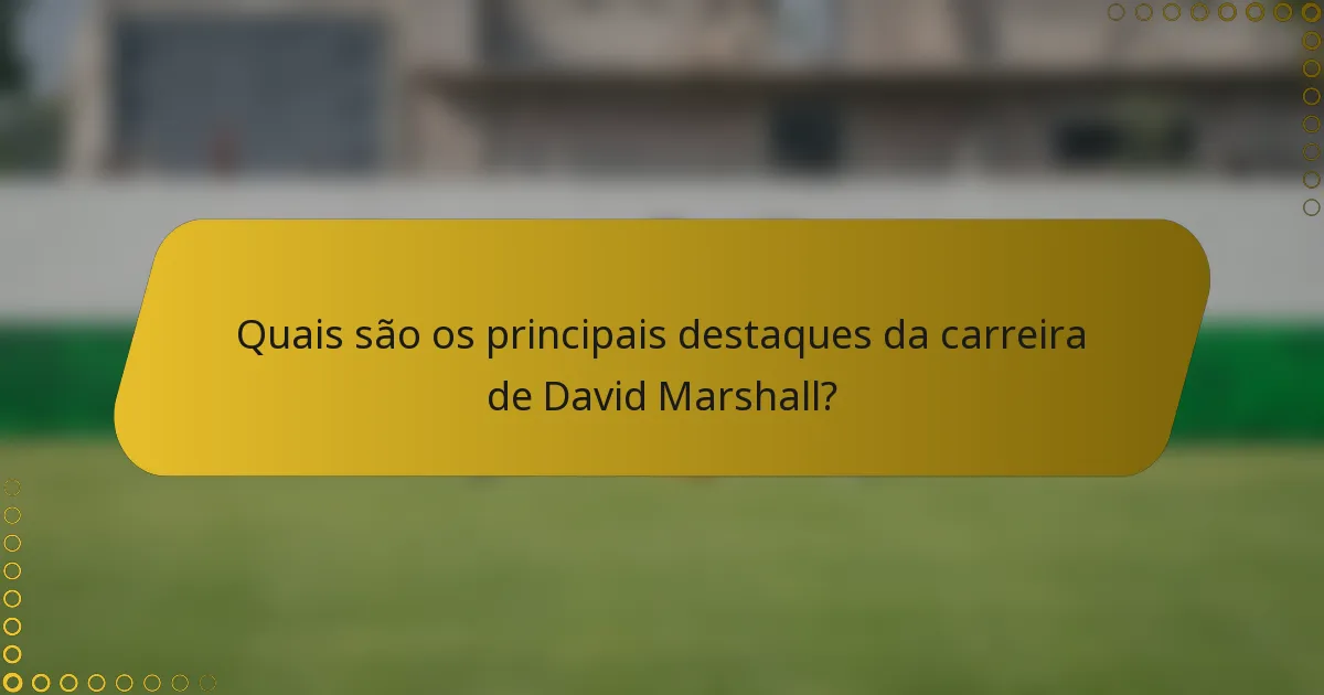 Quais são os principais destaques da carreira de David Marshall?